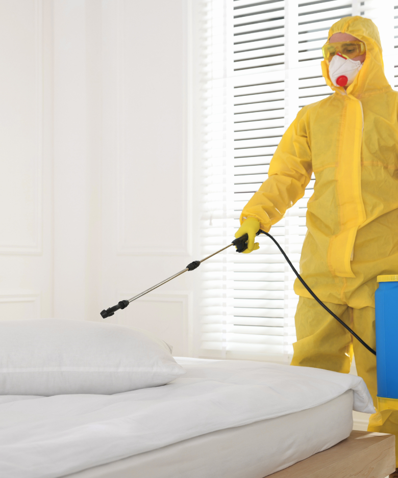 Professional Pest Control Team in Mitcham